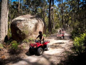 Wishlist: add atv bikes on your wishlist